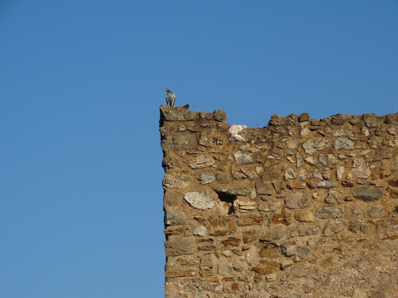 Sa Mendua E Sa Pruna Casa Al Mare Iglesias Exterior foto